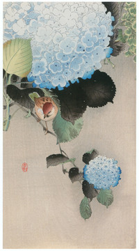 小原古村紫陽花麻雀