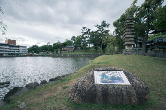 日本奈良公园猿沢池和佛塔