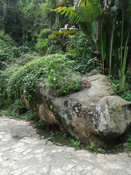 植物园