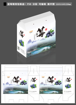 藍莓包裝