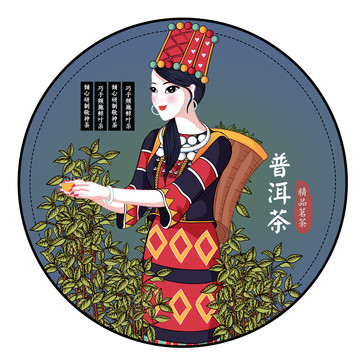 云南普洱茶景颇族采茶女包装插画