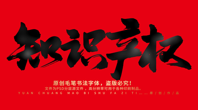 知識(shí)產(chǎn)權(quán)