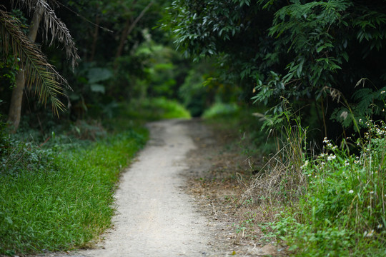 山间小道