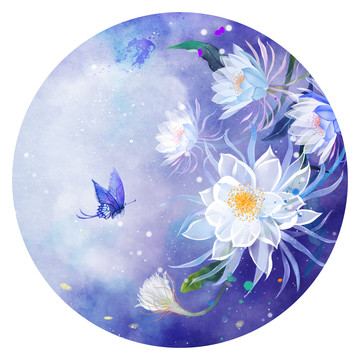 曇花插畫