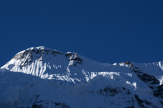 雪山森林树林