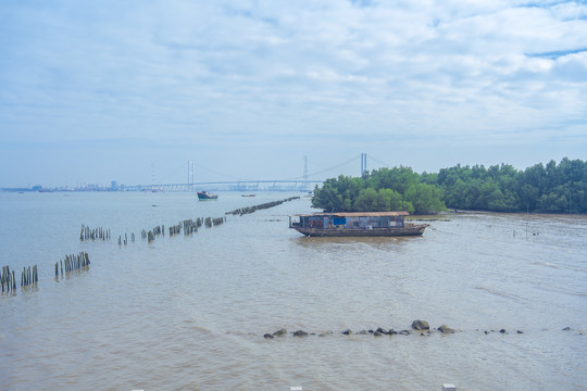 海鸥岛