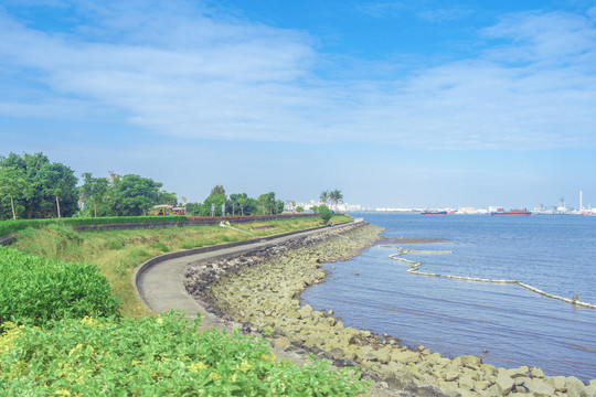 海鸥岛