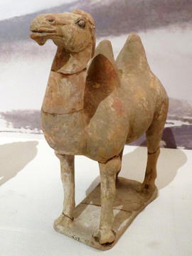 唐代彩绘骆驼