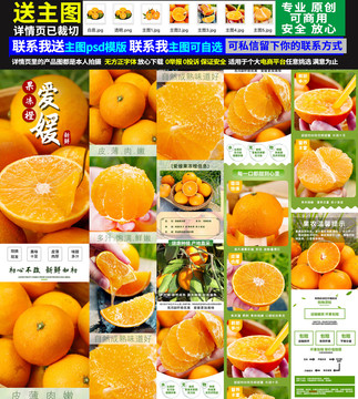 愛媛詳情頁
