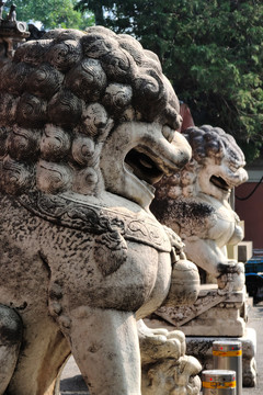 北京法源寺山门前的石狮子