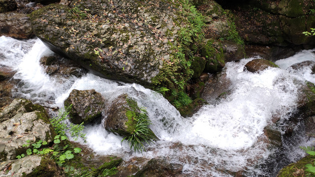 青城山流水