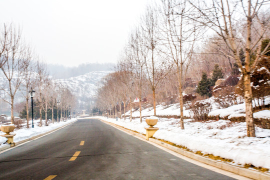 雪景