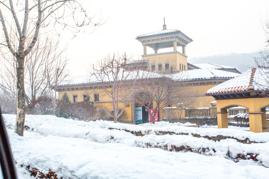 雪景