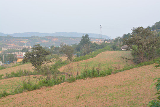 山村