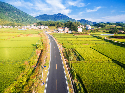 四朵金花公路道路