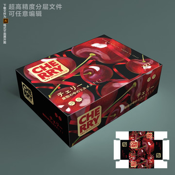 車?yán)遄影b設(shè)計(jì)