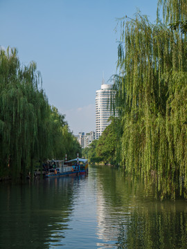 杭州东河风光