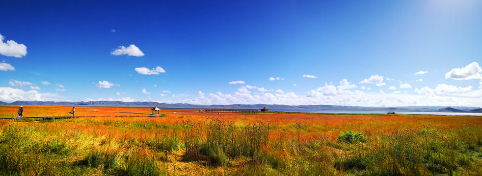 甘南草原尕海湖