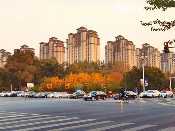 城市建筑与道路