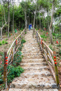 登山步道