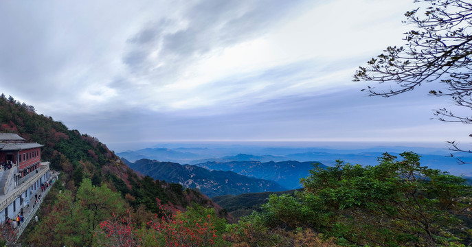 泰山