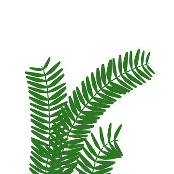 綠色植物花草草地