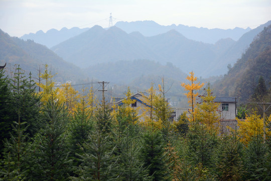 山区风光