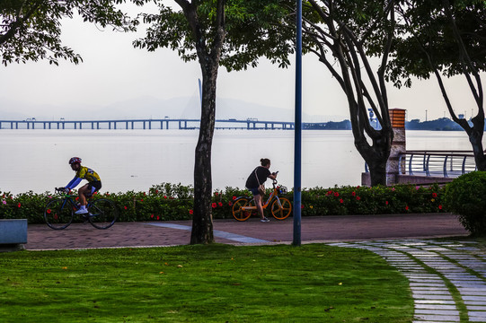 海边休闲公园绿道骑自行车的人