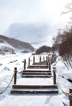 雪景冬天