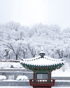 雪景冬天