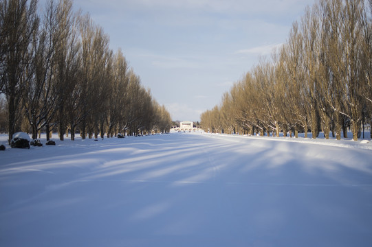 雪地