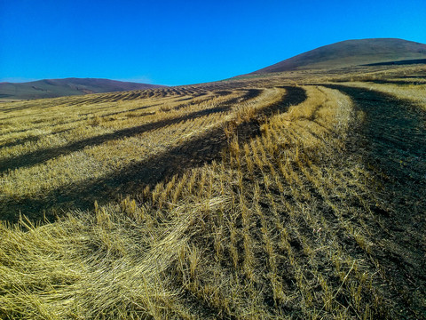 秋季收割后的农田田野