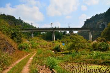 乡村风景