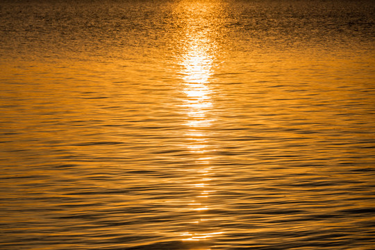 金色水面背景