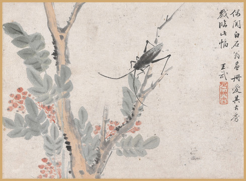 王武果樹昆蟲圖