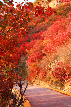 太行山庄子岭