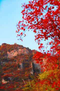 太行山庄子岭