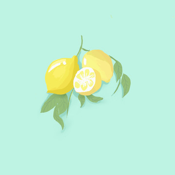 檸檬插畫
