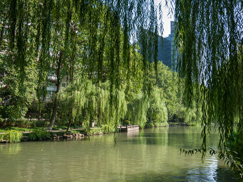 杭州东河风光