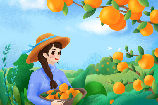 橙子橘子手绘包装插画