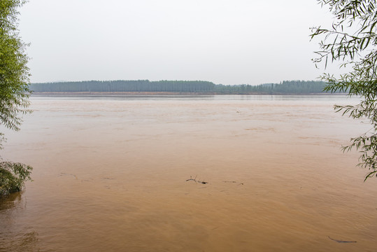 黄河水