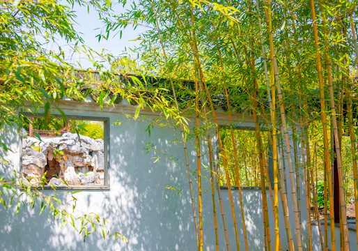 上海古猗园竹子与窗户
