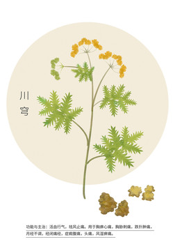 川穹
