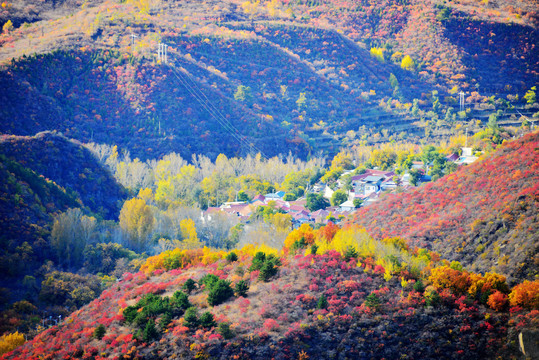 京郊乡村秋景