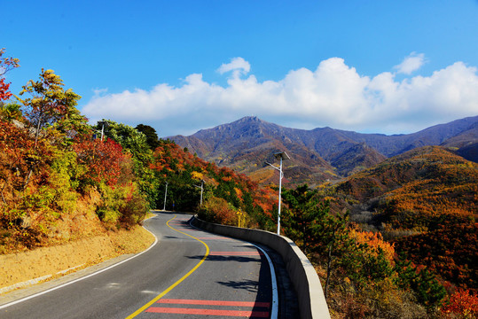 秋天的道路