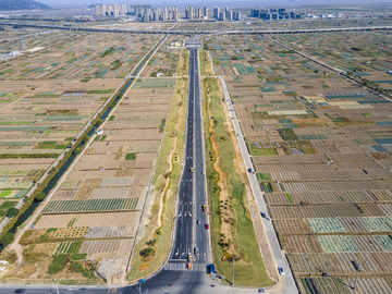 龙港市高速口绿化
