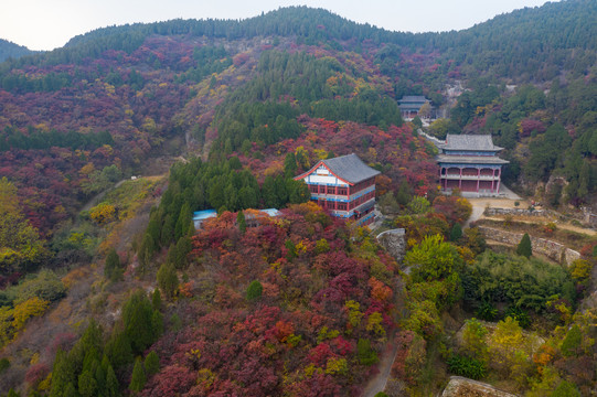 航拍济南丁家峪红叶026