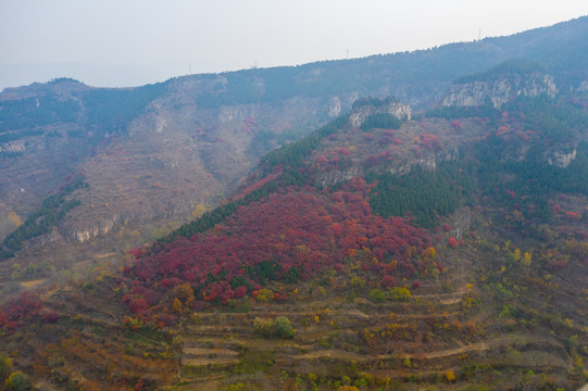 航拍济南黑峪红叶002