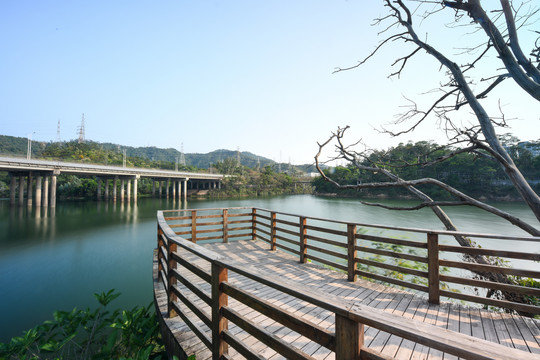 银湖山湖边观景台