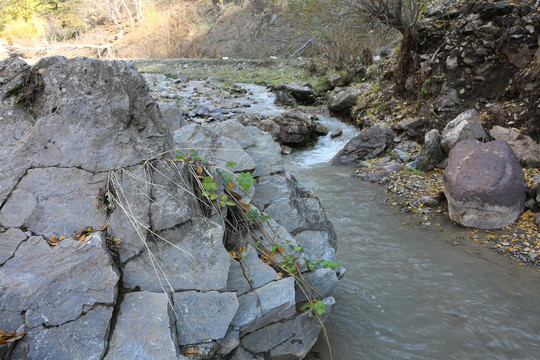 山溪山石